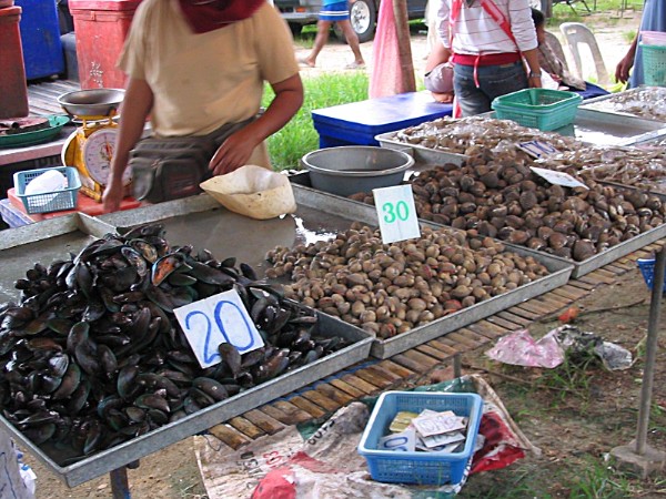 Muscheln und Meeresfrchte - Bang Niang Market