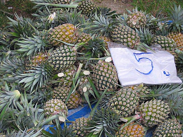 Ananas auf dem Bang Niang Market